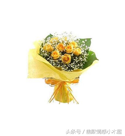 女朋友生气送什么花合适,求女朋友别生气送什么花合适