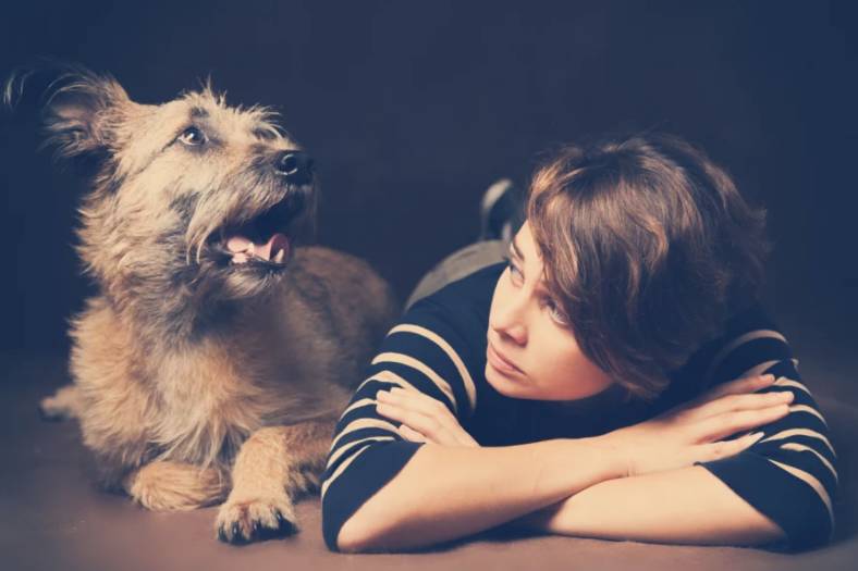 宠物店不为人知的秘密,宠物店不告诉你的小秘密