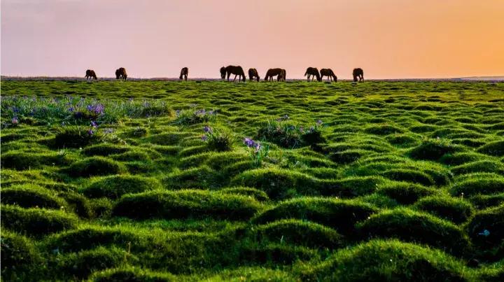 多彩鄂尔多斯欢迎你,多彩鄂尔多斯灯光秀