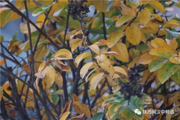 天气这么好，去汉中堂宏广场逛逛！