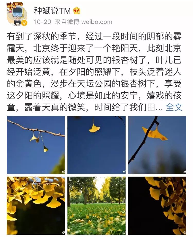 京城赏荷地图高清版,京城赏玉兰最全地图