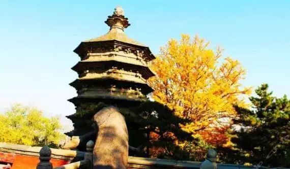 京城赏荷地图高清版,京城赏玉兰最全地图