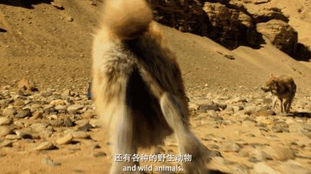 风靡8年的天涯神贴,40万人看过的神片