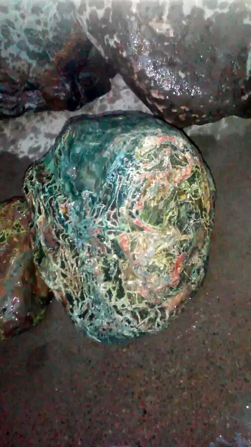 台湾七彩龙纹石,台湾特产龙纹石