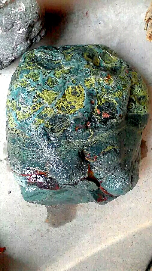 台湾七彩龙纹石,台湾特产龙纹石