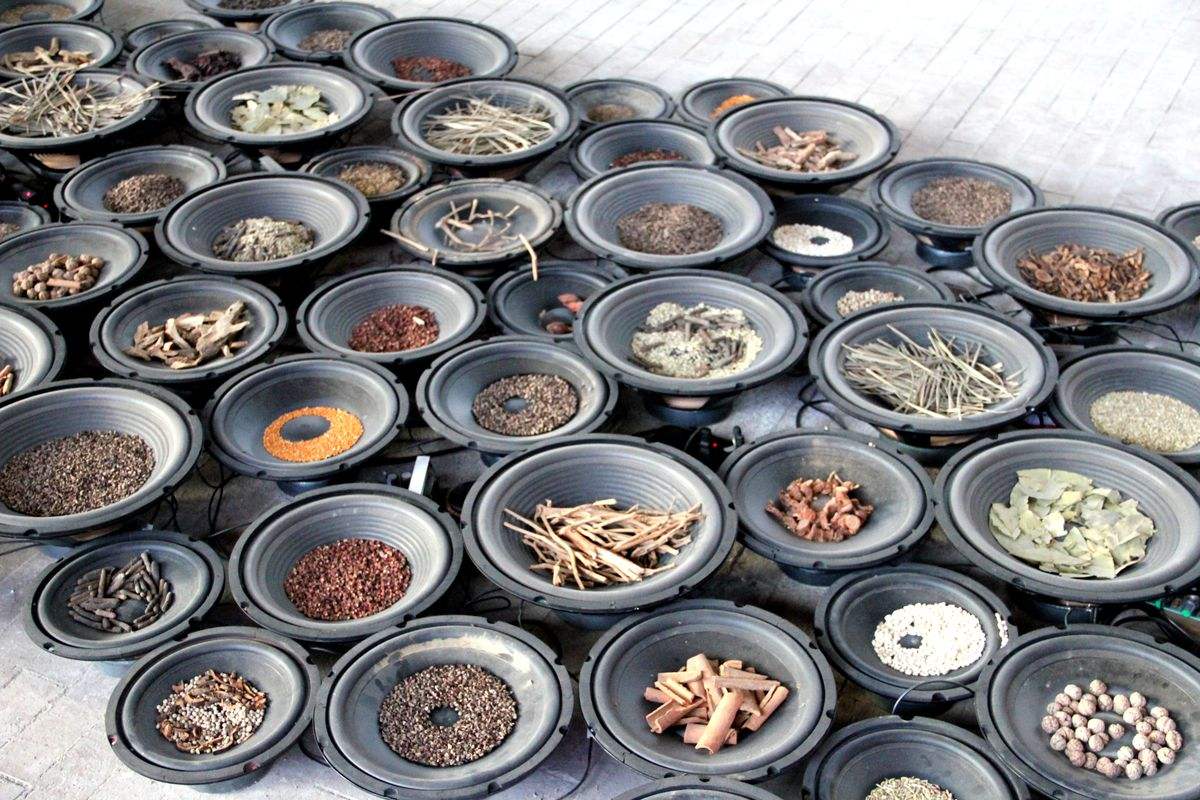 想要母猪多产崽怎么养,想要养好母猪