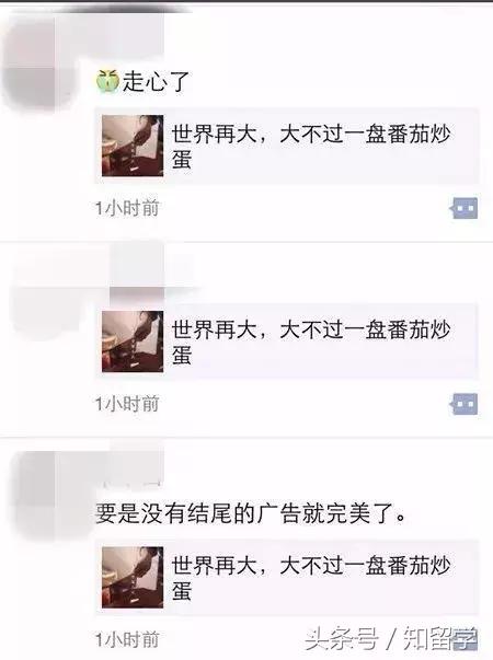 留学生与番茄炒蛋,一盘番茄炒蛋完整版