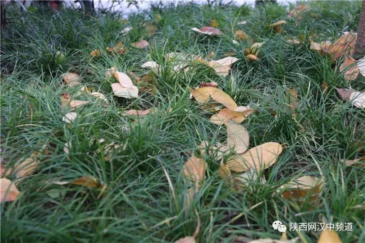 天气这么好，去汉中堂宏广场逛逛！