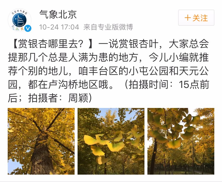 京城赏荷地图高清版,京城赏玉兰最全地图