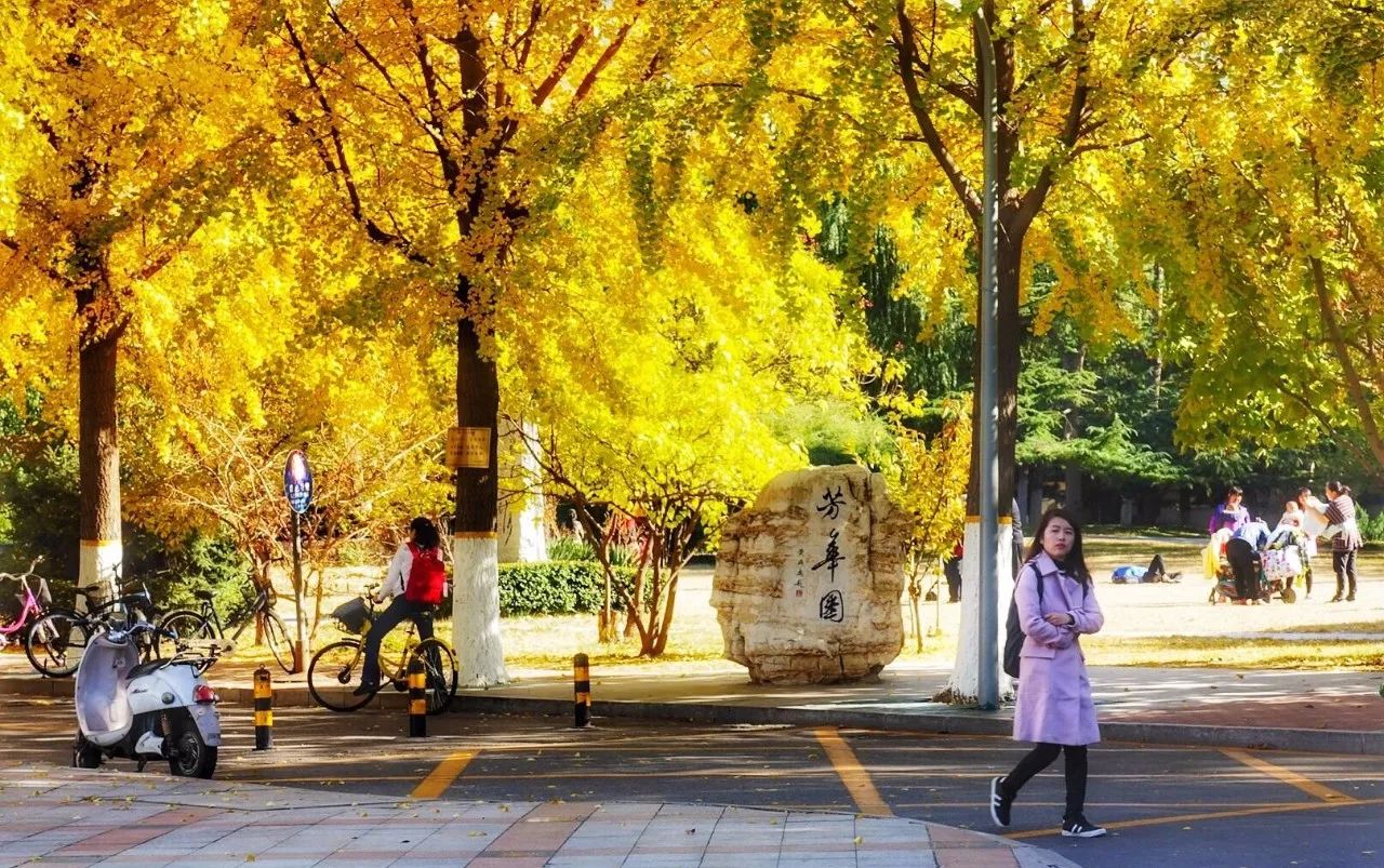 京城赏荷地图高清版,京城赏玉兰最全地图