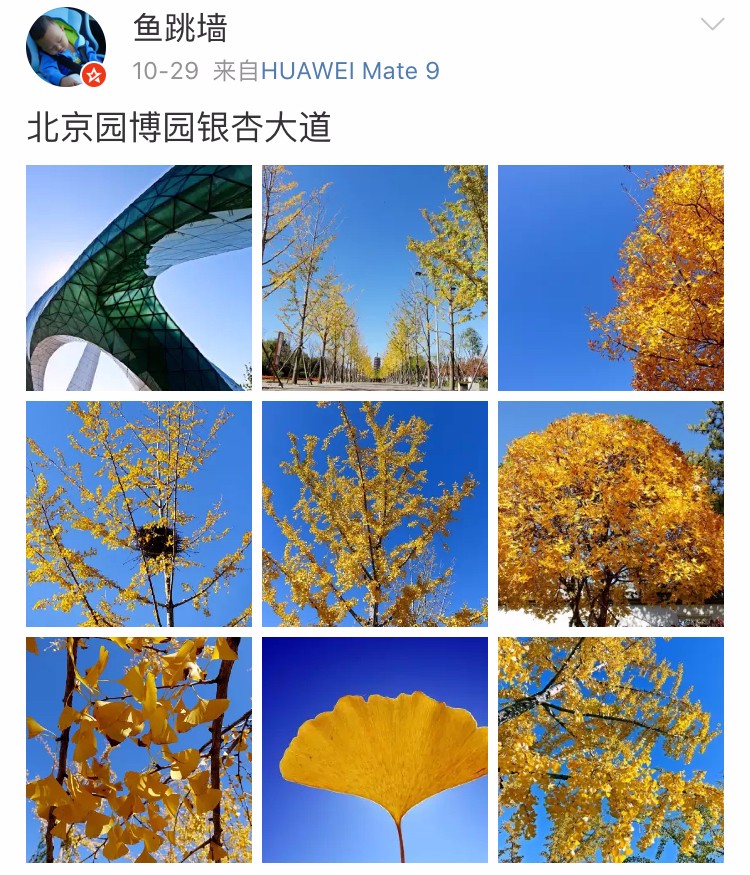 京城赏荷地图高清版,京城赏玉兰最全地图