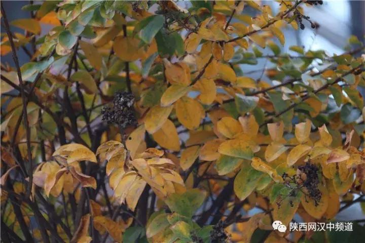 天气这么好，去汉中堂宏广场逛逛！