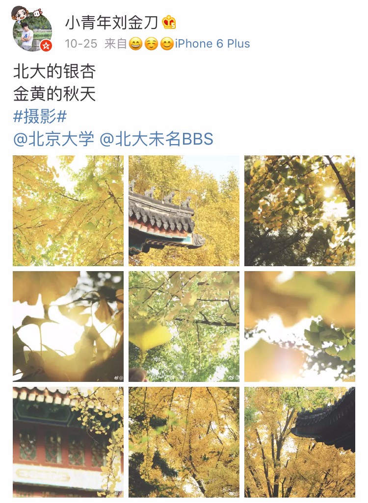 京城赏荷地图高清版,京城赏玉兰最全地图