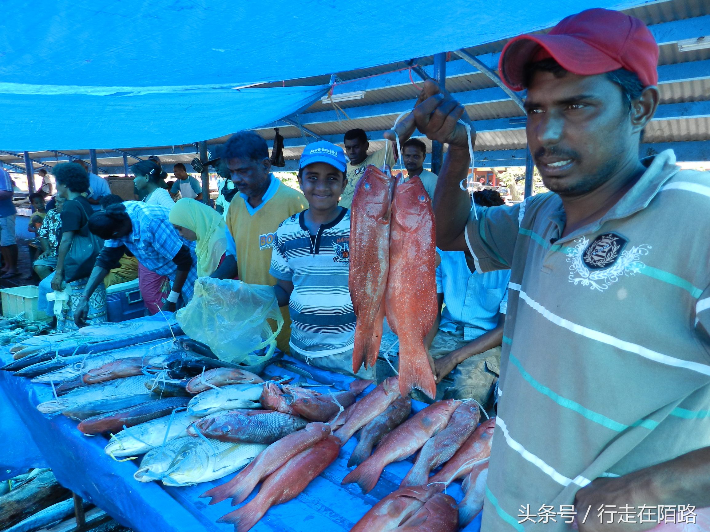 斐济物价多少钱一斤,斐济很穷么