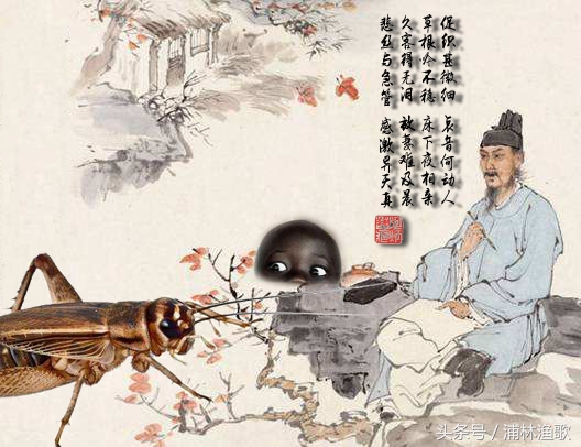 描写动物的古诗十首,十首关于动物的古诗