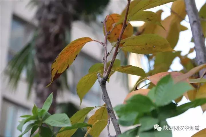 天气这么好，去汉中堂宏广场逛逛！