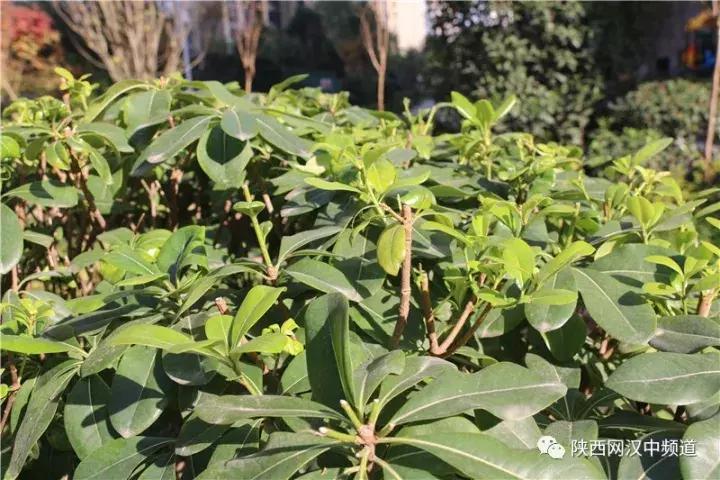 天气这么好，去汉中堂宏广场逛逛！