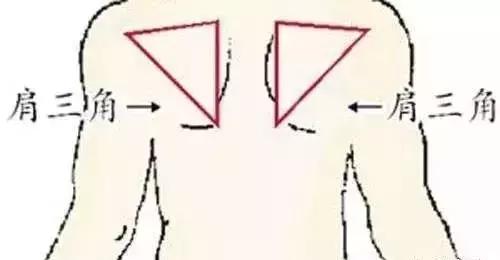 人体八大黄金穴位,人体四大疾病是哪些