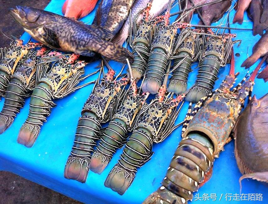 斐济物价多少钱一斤,斐济很穷么