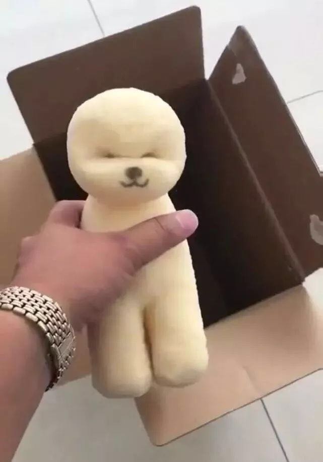 网上买的二哈是真的吗,网上500元二哈