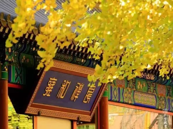 京城赏荷地图高清版,京城赏玉兰最全地图