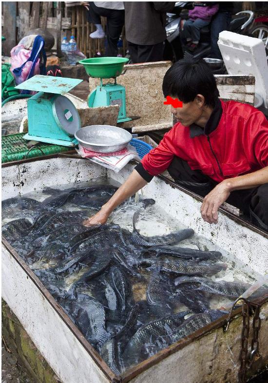 靠市场卖鱼4年赚70万，5线城市能有这成绩，算不错了吧