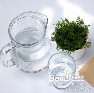 成人发烧怎么退烧喝姜汤,成年人发烧喝什么药退烧