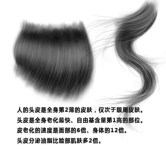 有头才有脸，头皮脸皮一张皮，揭秘你所不知道的头皮真相