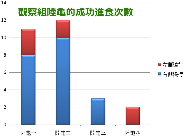 红腿象龟和樱桃红腿象龟区分,红腿象龟