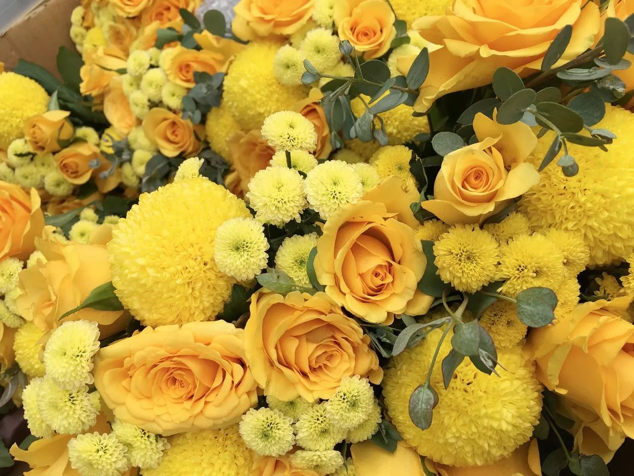 18年环法中国巅峰赛冲刺王,环法巅峰对决