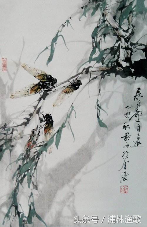 描写动物的古诗十首,十首关于动物的古诗