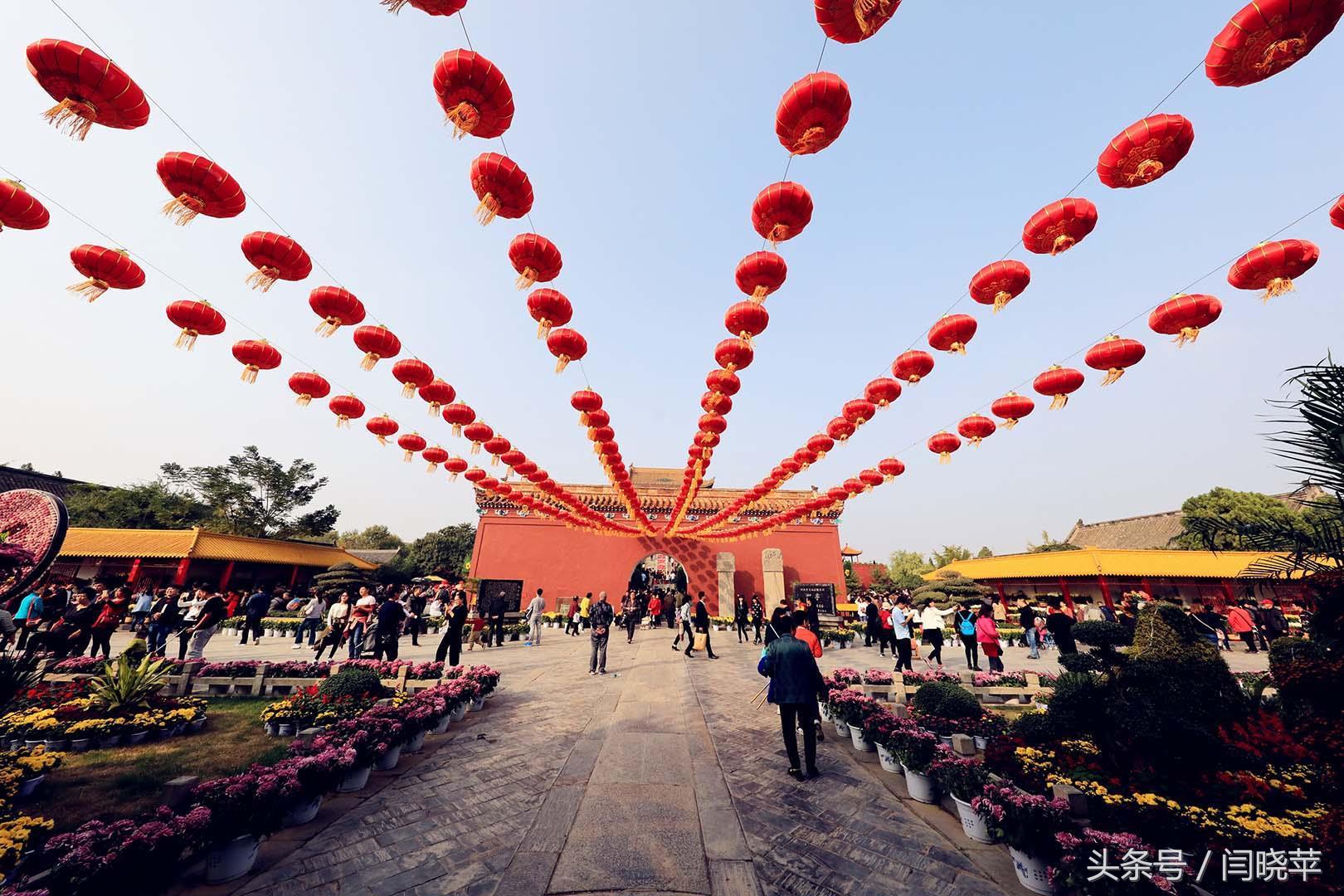 悠然菊影从何觅?南山菊姿下龙亭