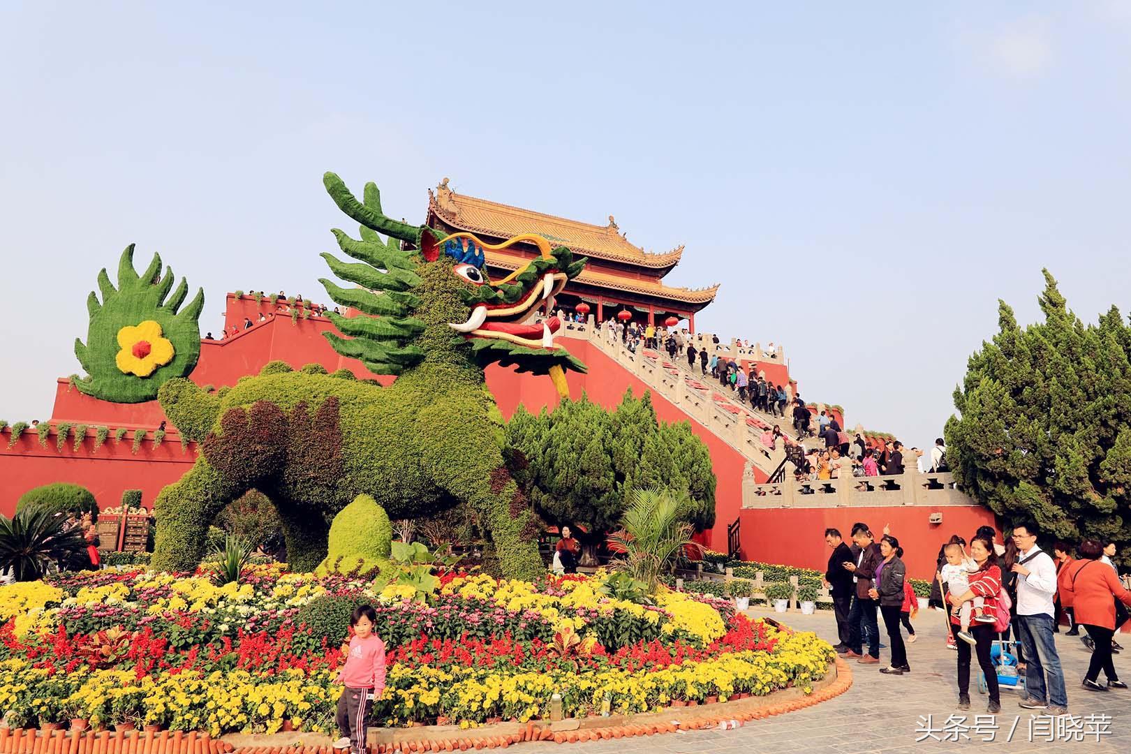 悠然菊影从何觅?南山菊姿下龙亭