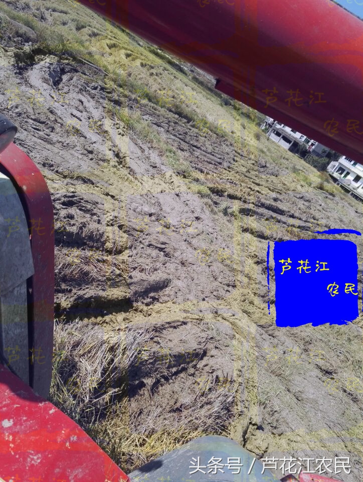 雷沃rg50超越版收割机,福田雷沃rg50超越版多少钱