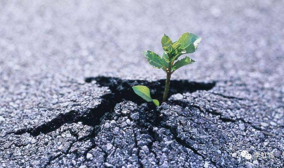 现金贷未来的发展方向,规范现金贷须溯本清源