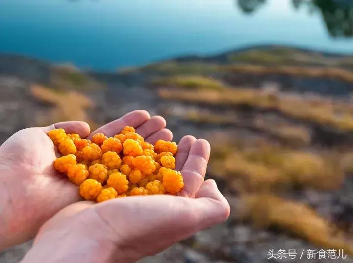 一杯7万,唐家三少喝的百年威士忌居然是假货