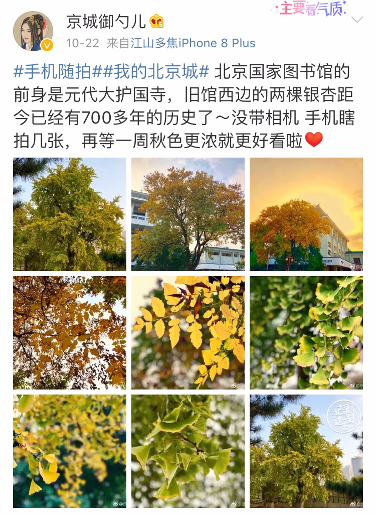 京城赏荷地图高清版,京城赏玉兰最全地图