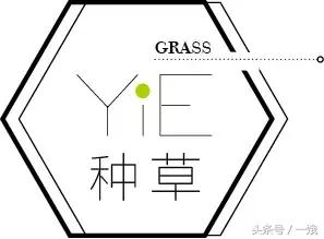 剁手季购物必买清单,比双十一便宜的东西清单