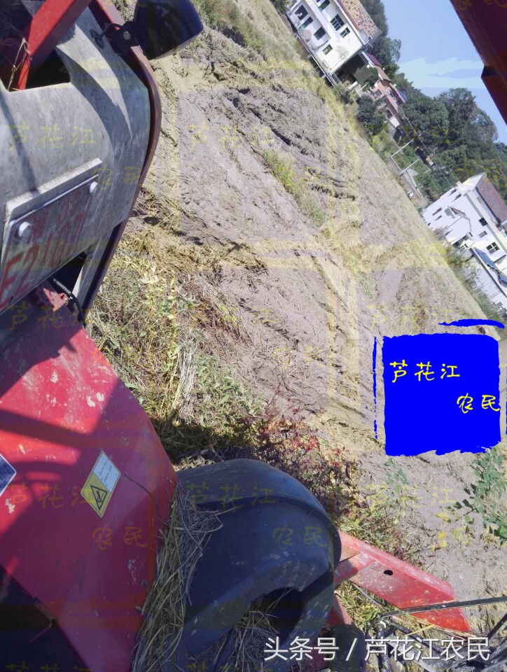 雷沃rg50超越版收割机,福田雷沃rg50超越版多少钱