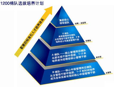 “1200工程”火爆全国优秀毕业生扎堆苏宁