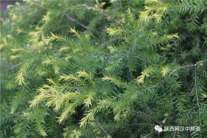 天气这么好，去汉中堂宏广场逛逛！