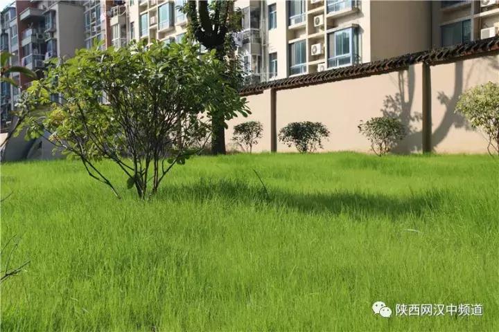 天气这么好，去汉中堂宏广场逛逛！