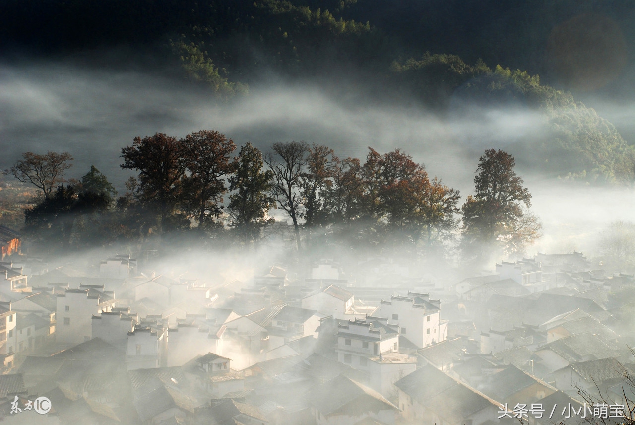怀孕宝妈孕早期有哪些感觉,孕妈分享孕期各种症状