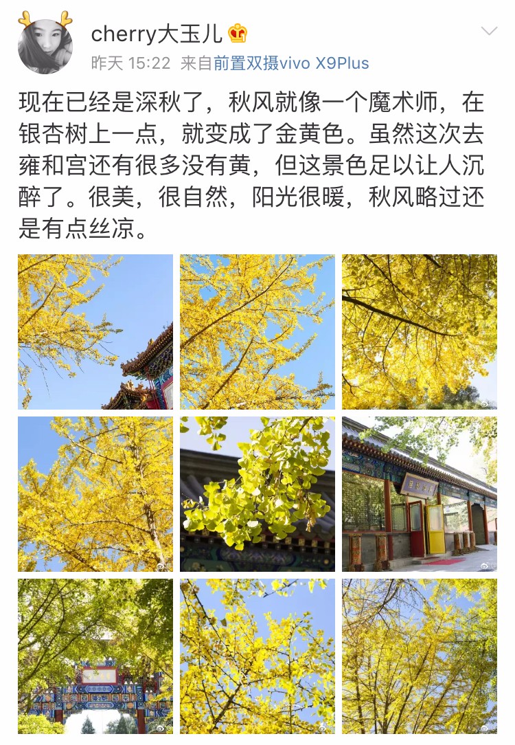 京城赏荷地图高清版,京城赏玉兰最全地图