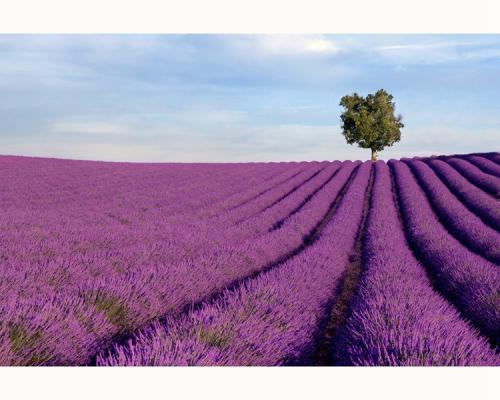 青岛城阳区好玩的地方,青岛过年好玩的地方
