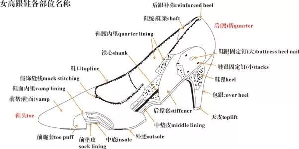 涨知识生活常识,涨知识有哪些