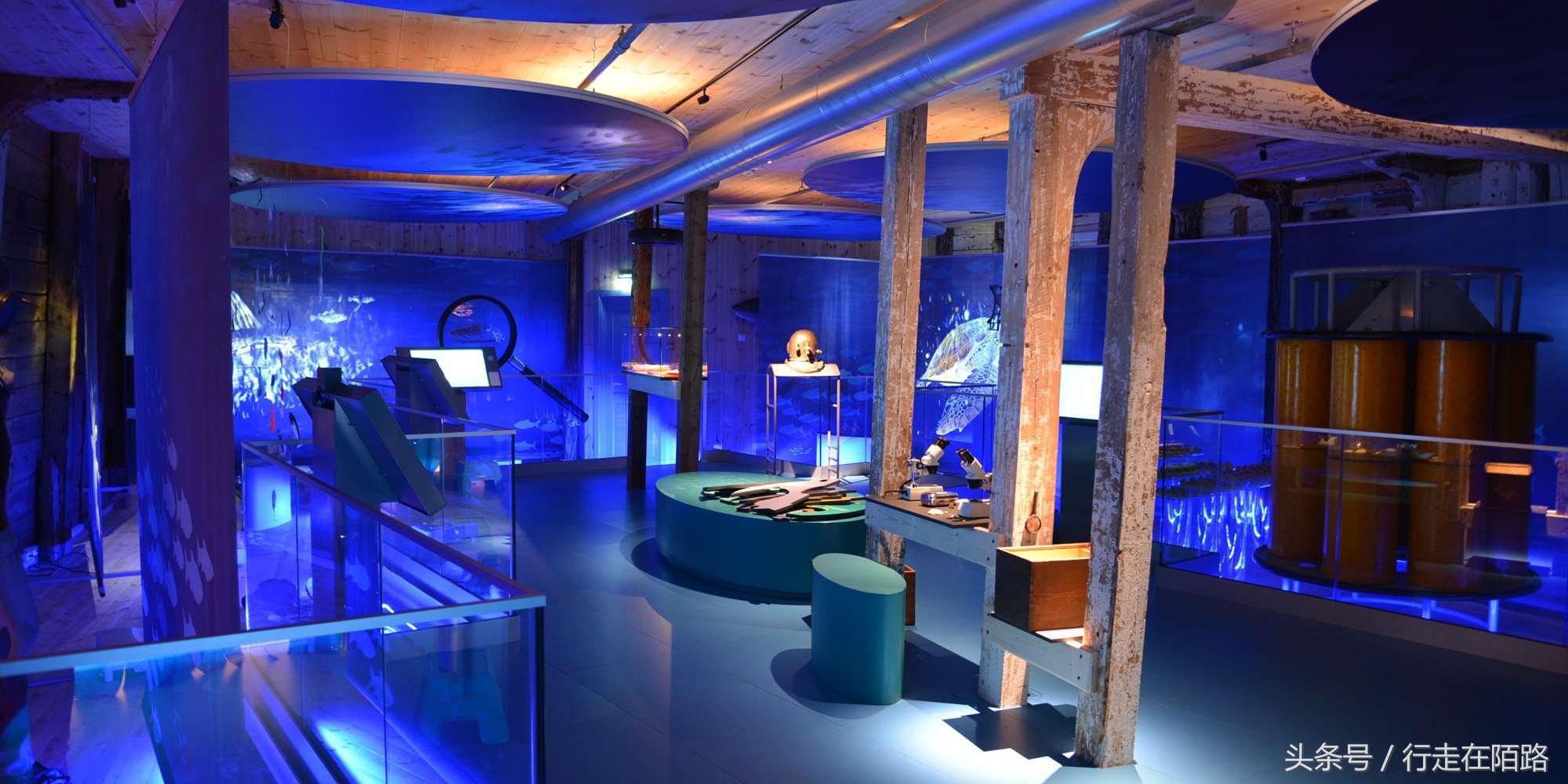 将渔民当成梦想职业？因为收入高假期多，千万欧元资产很常见