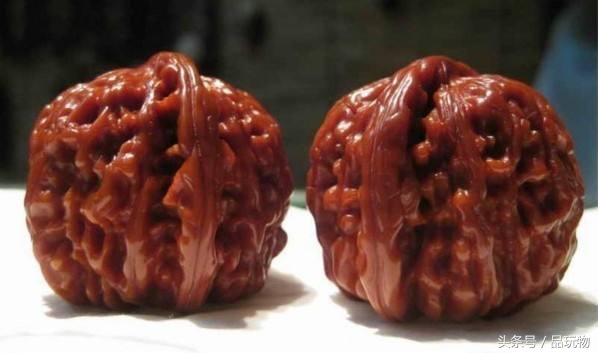 推荐白狮子头,白狮子核桃和四座楼狮子头哪个好