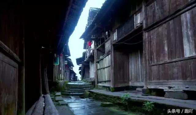 为何不要随便去雅安？