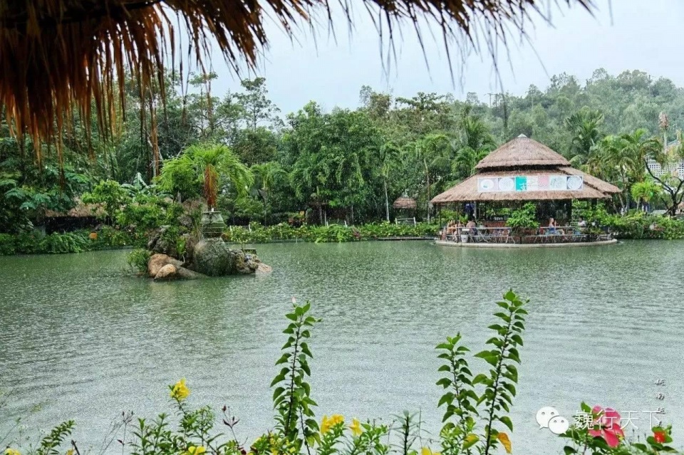 越南芽庄泥浆浴在哪个岛上,游越南芽庄享受泥浆浴